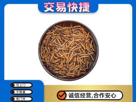 珠海斗门区回收散虫草